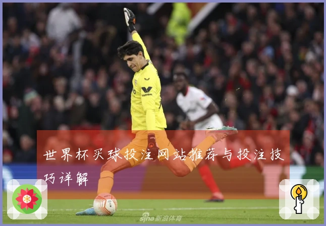 世界杯买球投注网站推荐与投注技巧详解