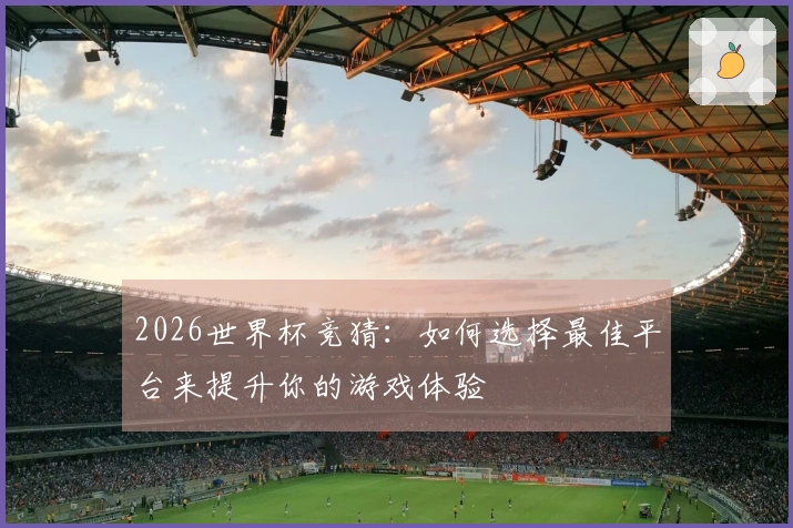 2026世界杯竞猜：如何选择最佳平台来提升你的游戏体验