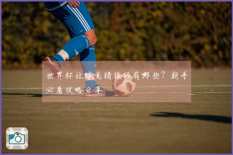 世界杯让球竞猜技巧有哪些？新手必看攻略分享