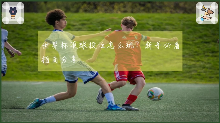 世界杯滚球投注怎么玩？新手必看指南分享