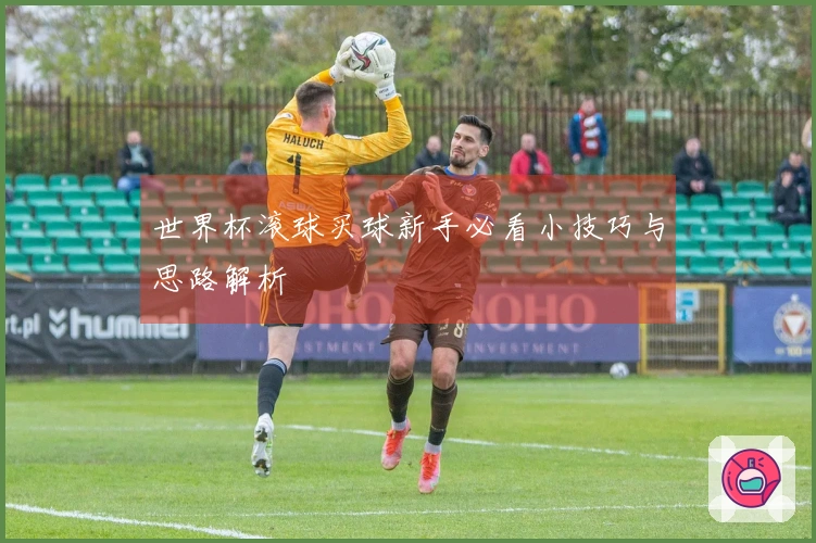 世界杯滚球买球新手必看小技巧与思路解析