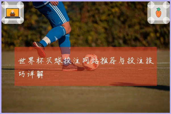 世界杯买球投注网站推荐与投注技巧详解