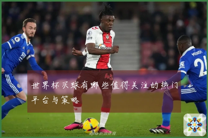世界杯买球有哪些值得关注的热门平台与策略